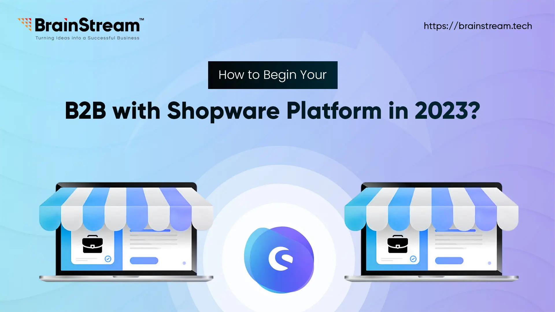 How to Begin Your B2B with Shopware Platform in 2023?